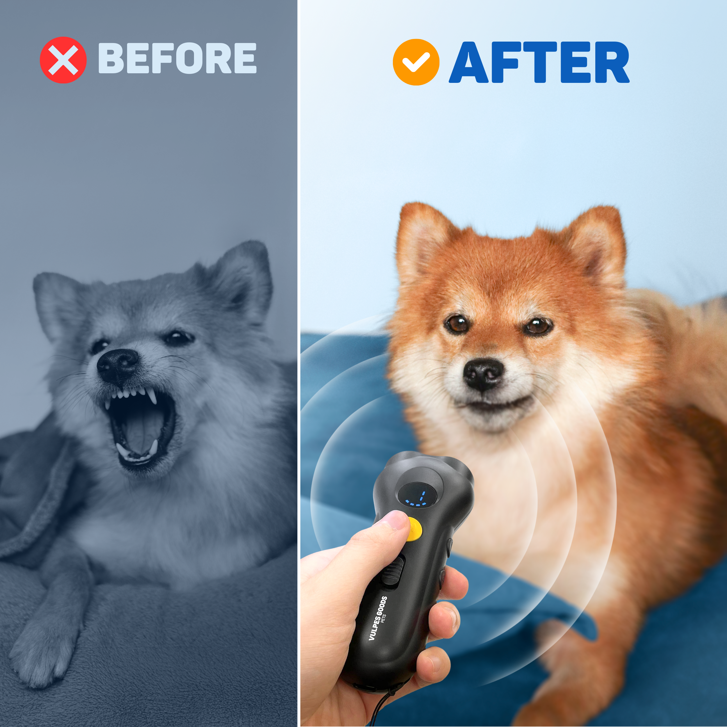 Before: angry dog. After: calm dog with device.