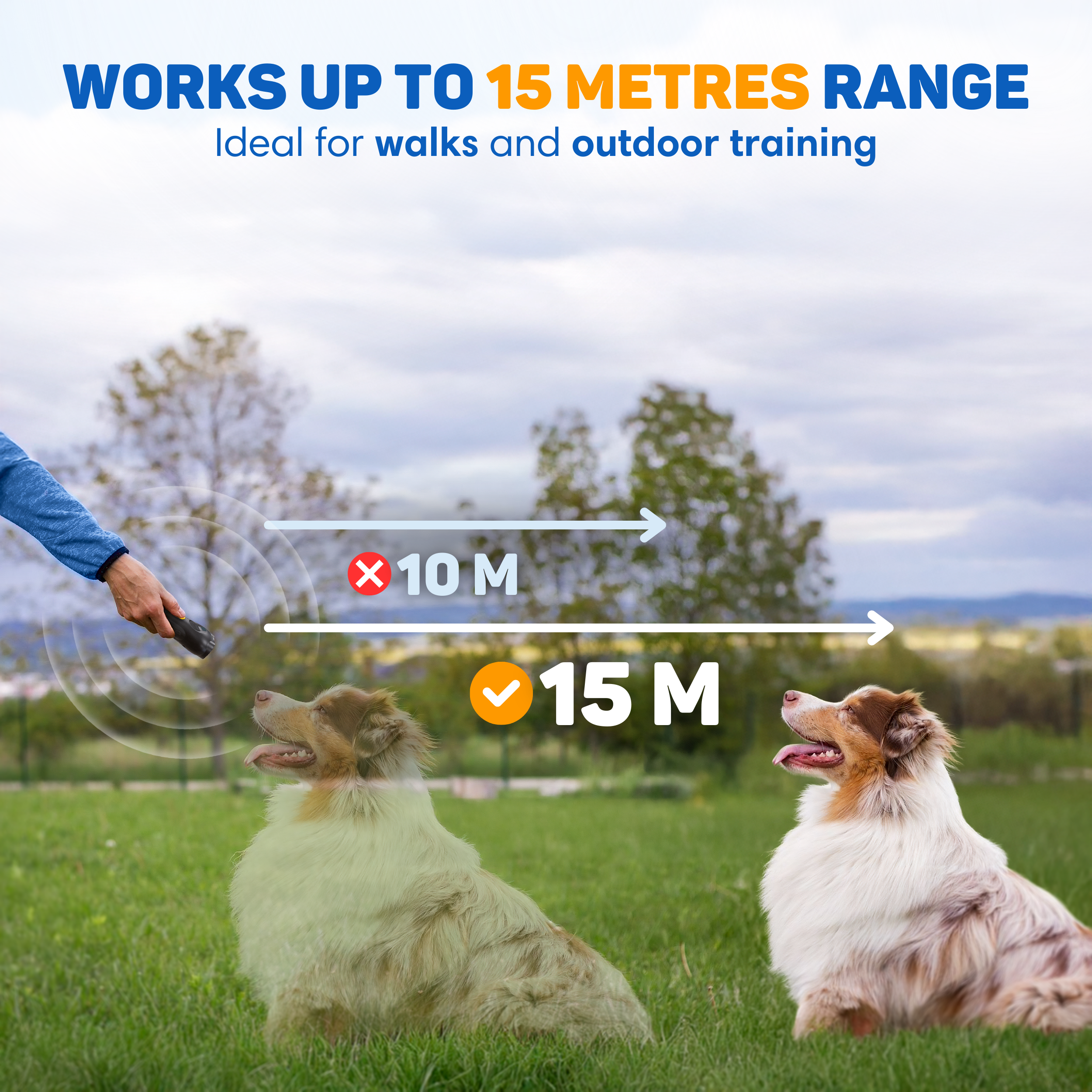 A dog is trained with a device that has a range of up to 15 meters.