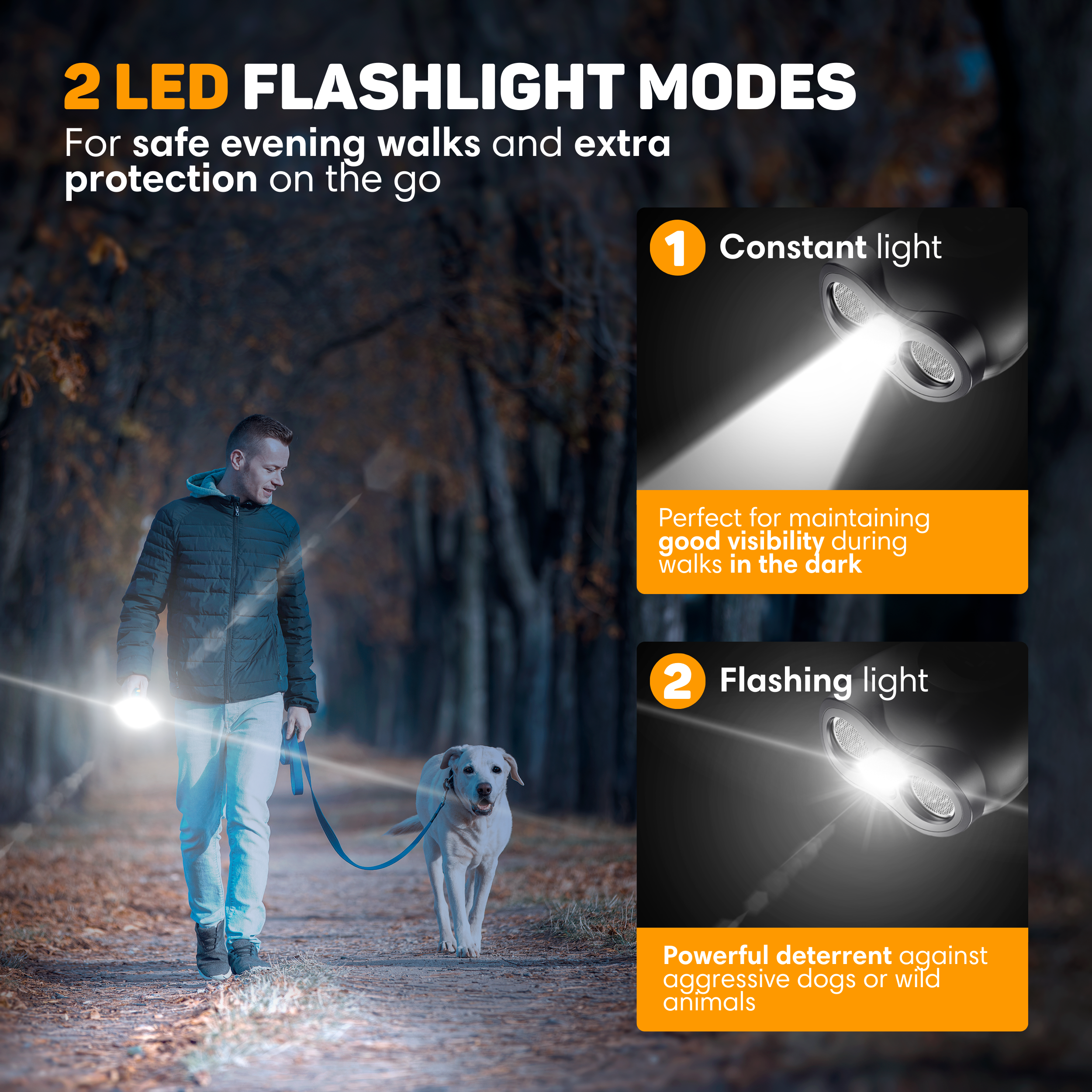 Man walks dog in the dark, illuminated by a flashlight.