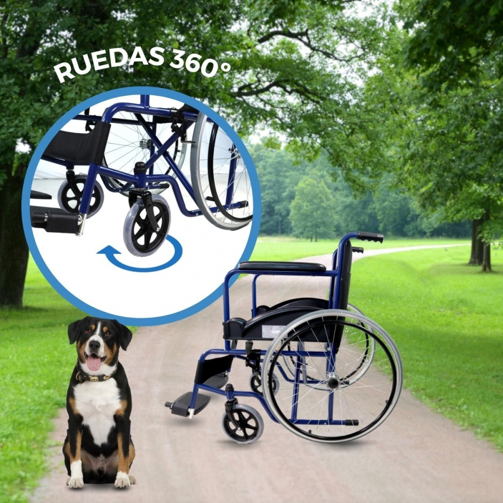 Una silla de ruedas azul en un camino. Un perro delante. Vista detallada de las ruedas.