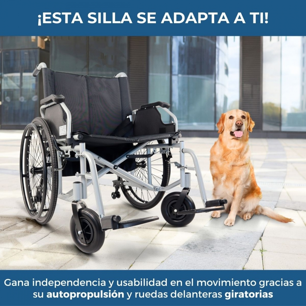 Un perro se sienta junto a una silla de ruedas frente a un edificio.