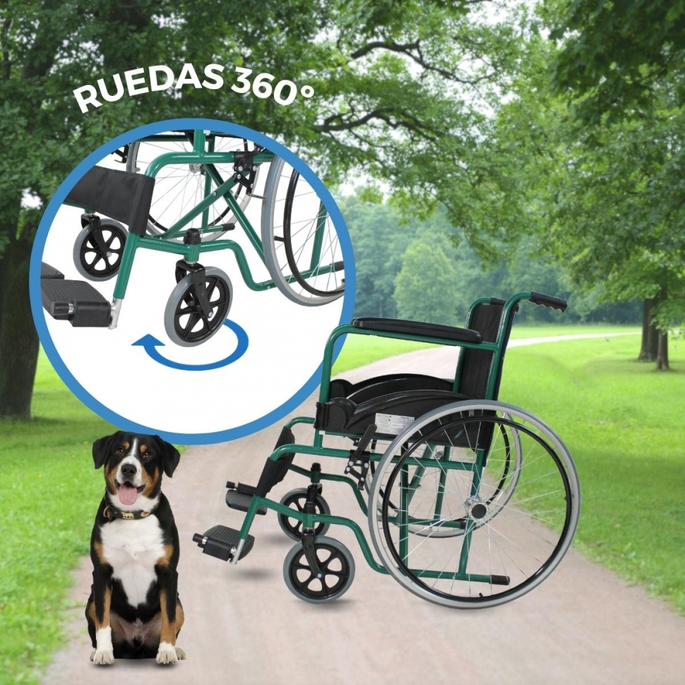 Una silla de ruedas verde y un perro sentados en un camino.