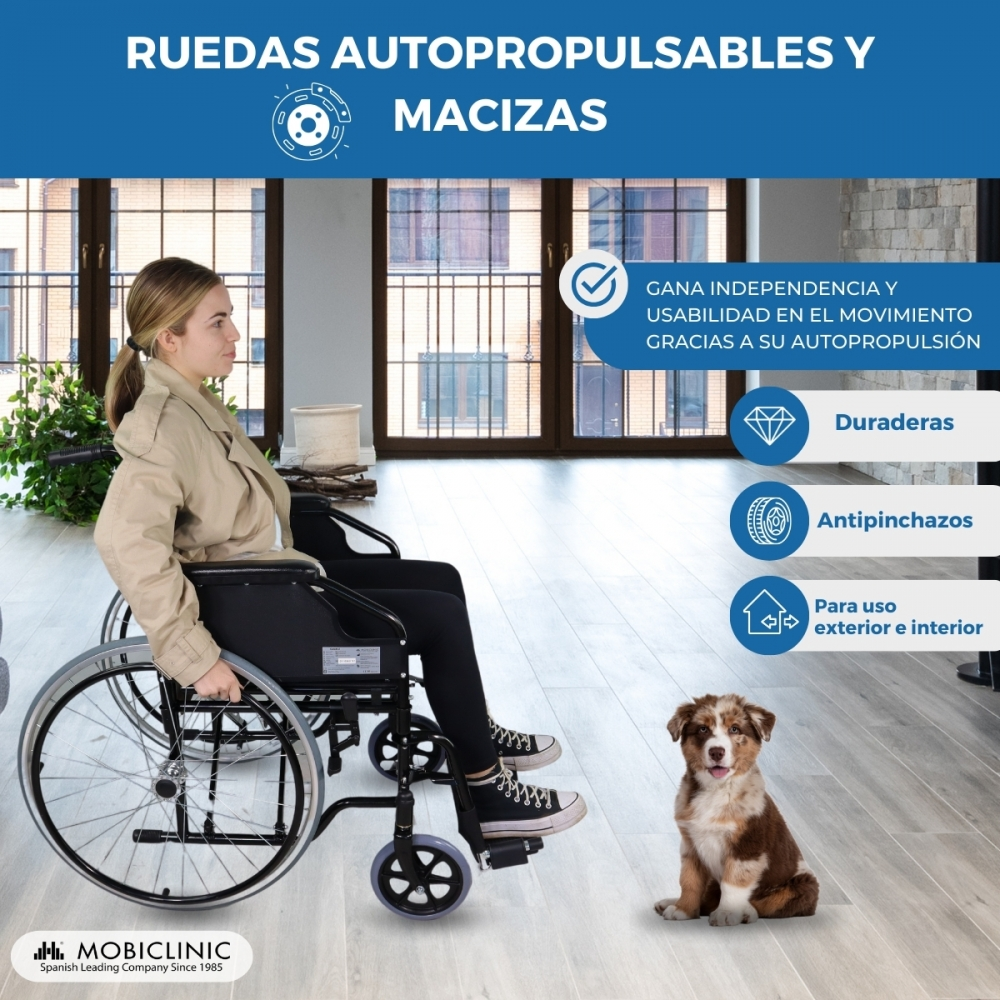 Una mujer sentada en silla de ruedas, un perro a su lado. Fondo: ventana.