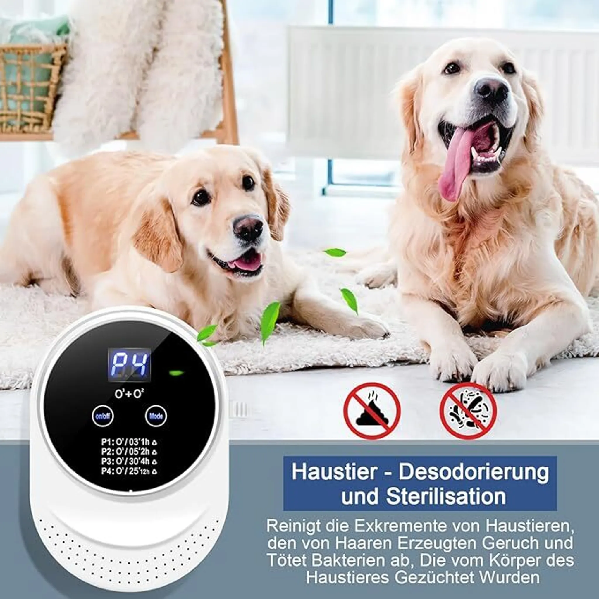 Zwei Golden Retriever liegen auf einem Teppich neben einem Luftreiniger.