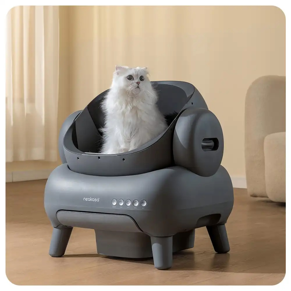 Bacaklı gri otomatik kedi kumunda beyaz bir kedi oturuyor.