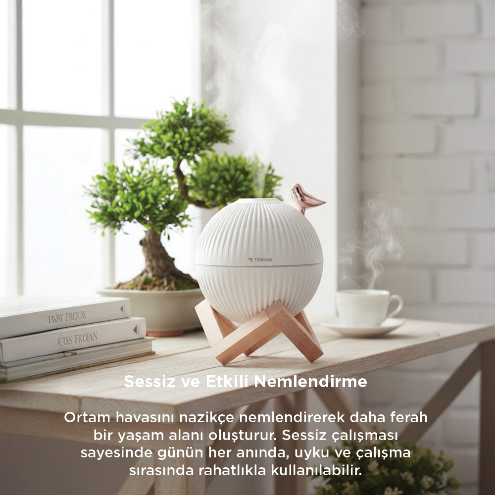 Kuş dekorlu beyaz nemlendirici, bonsai ağacının yanında ahşap masada duruyor.