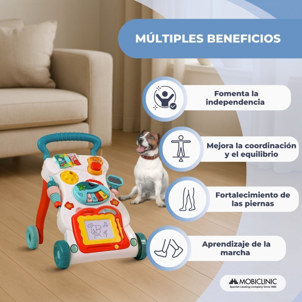 Un andador para bebés colorido y un perro en una habitación.