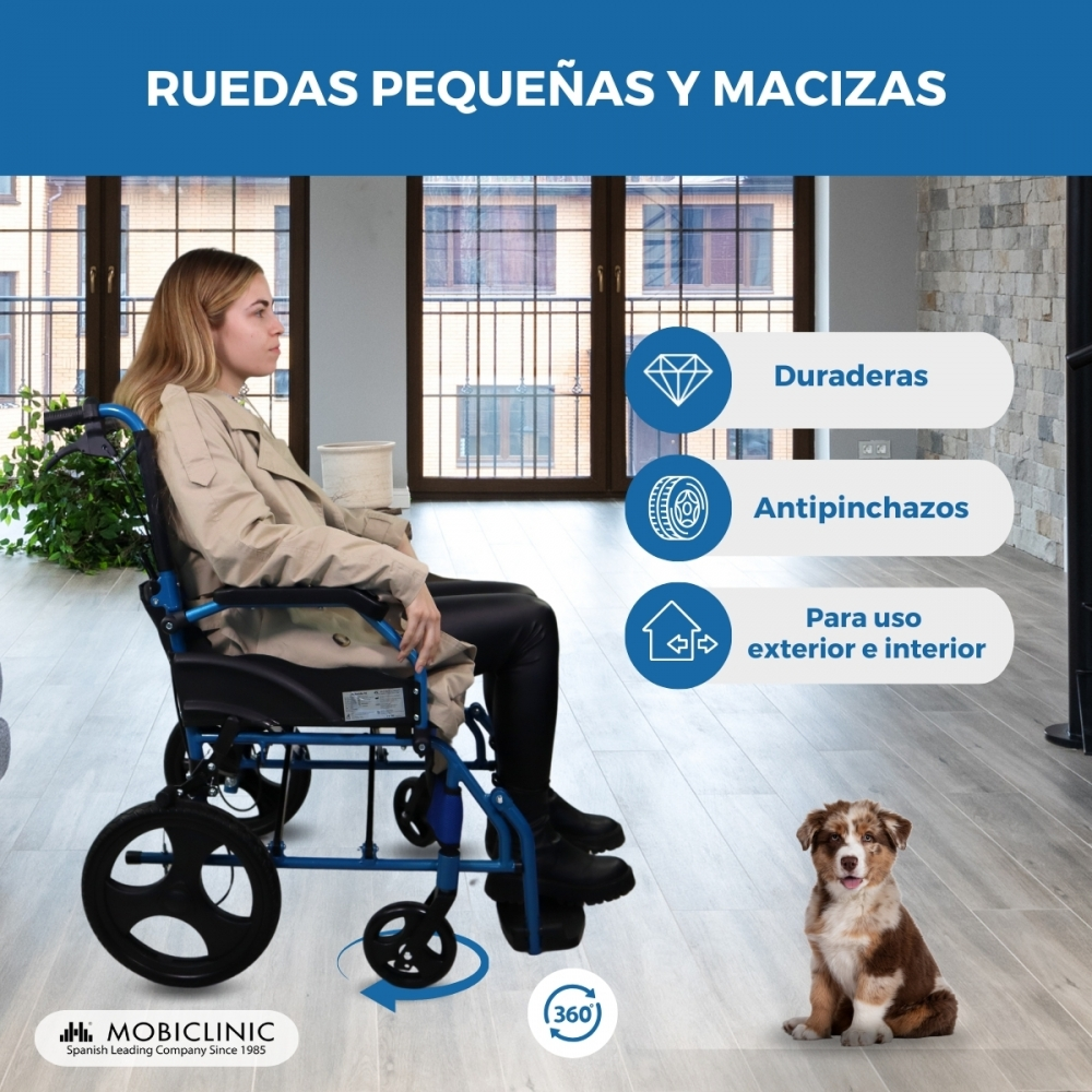 Mujer en silla de ruedas con perro al lado; texto sobre ruedas.