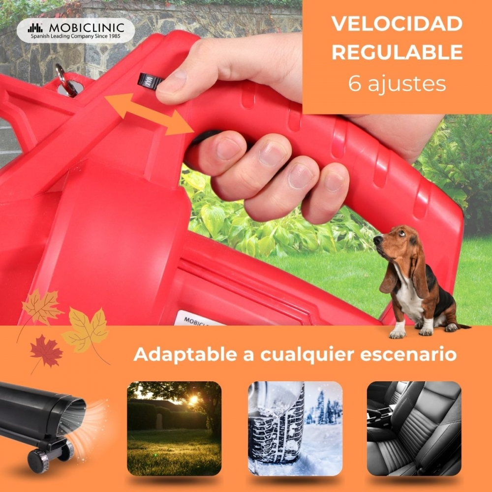 Soplador de hojas rojo, Basset Hound, césped, nieve y asiento de coche.