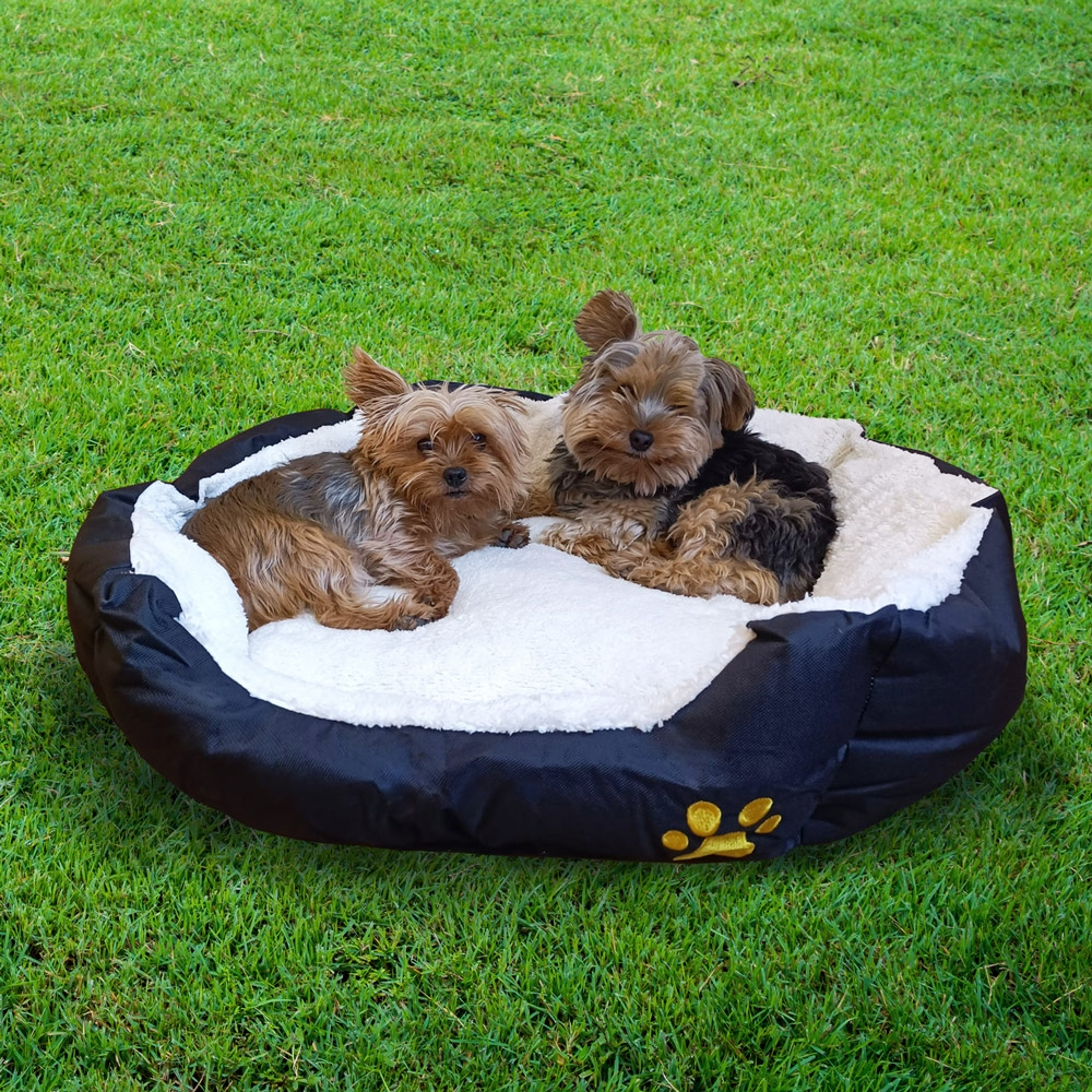 Dos pequeños Yorkshire terriers descansan en una cama de perro de felpa al aire libre sobre césped verde.