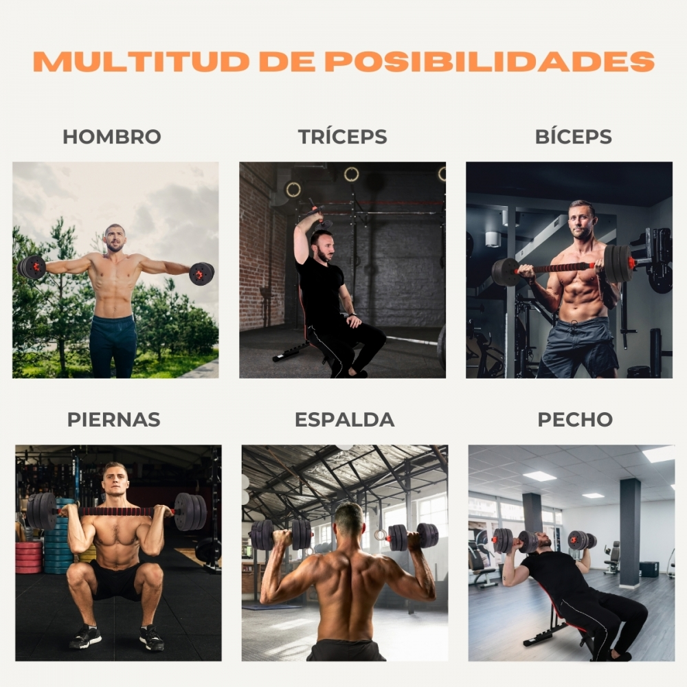 Seis ejercicios de fitness: hombro, tríceps, bíceps, piernas, espalda, pecho.
