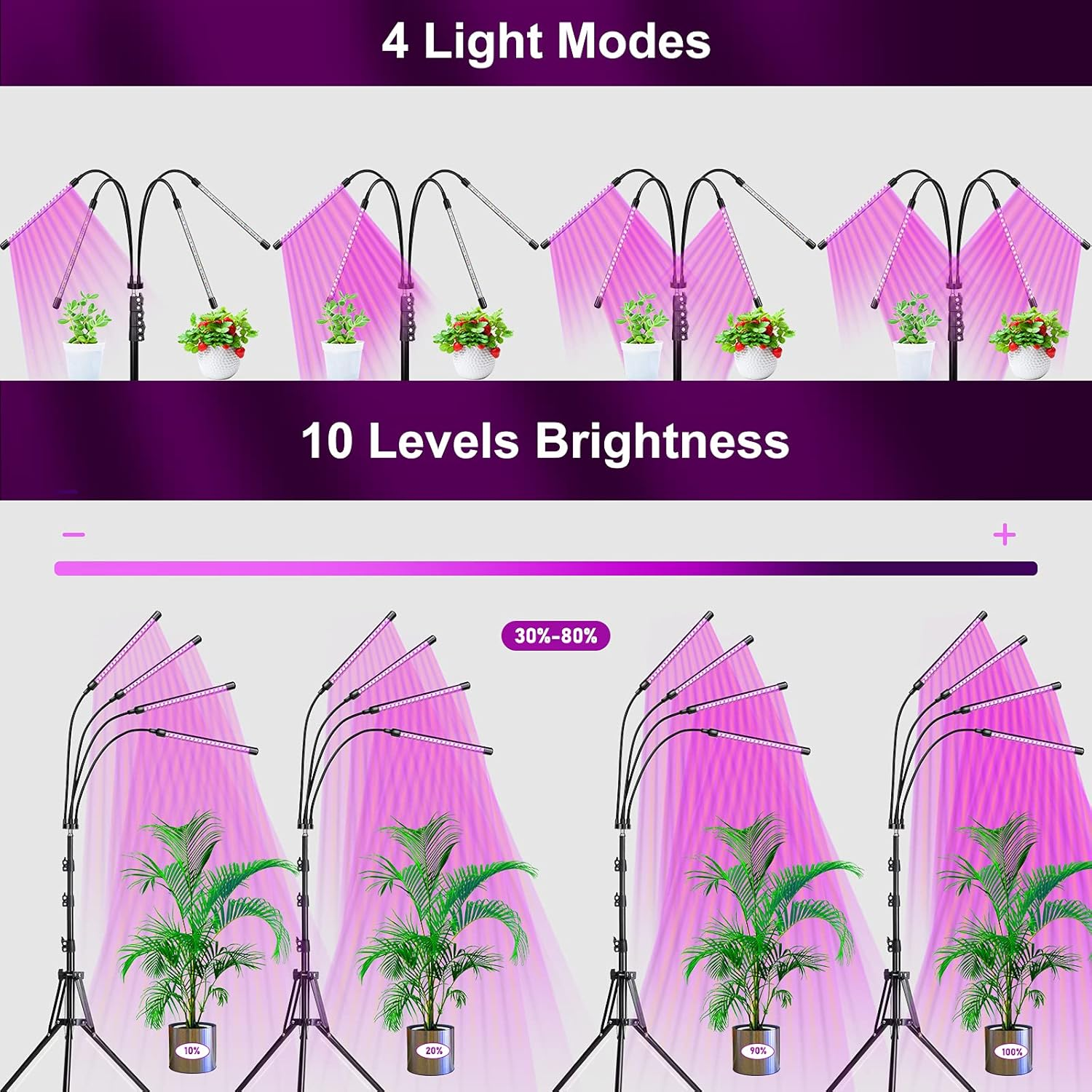 Vier Pflanzenlampen mit pinkem Licht über Pflanzen. Oben 4 Modi, unten 4 Helligkeitsstufen.