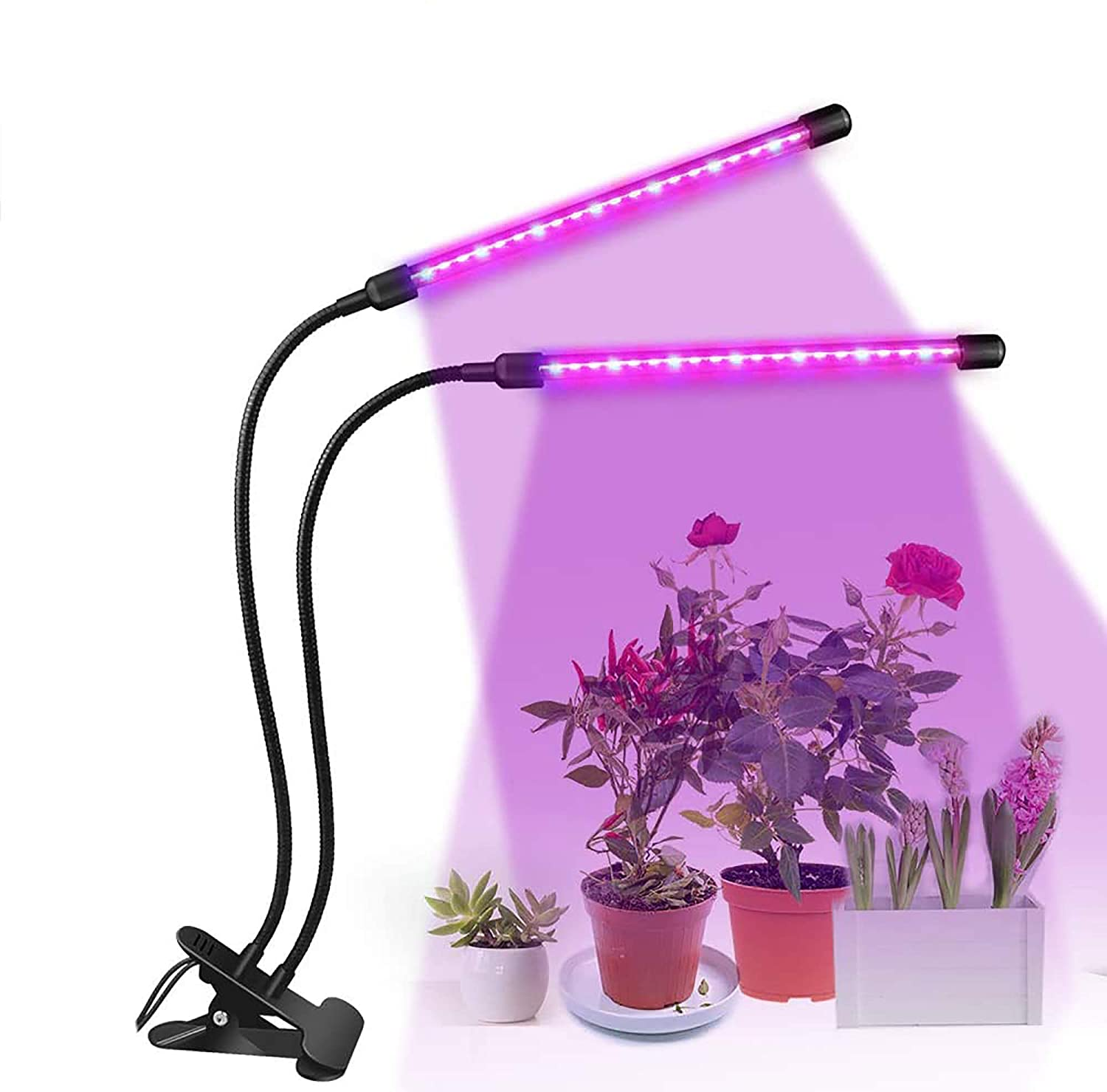 Zwei LED-Pflanzenlampen mit Schwanenhals über drei verschiedenen Pflanzen.