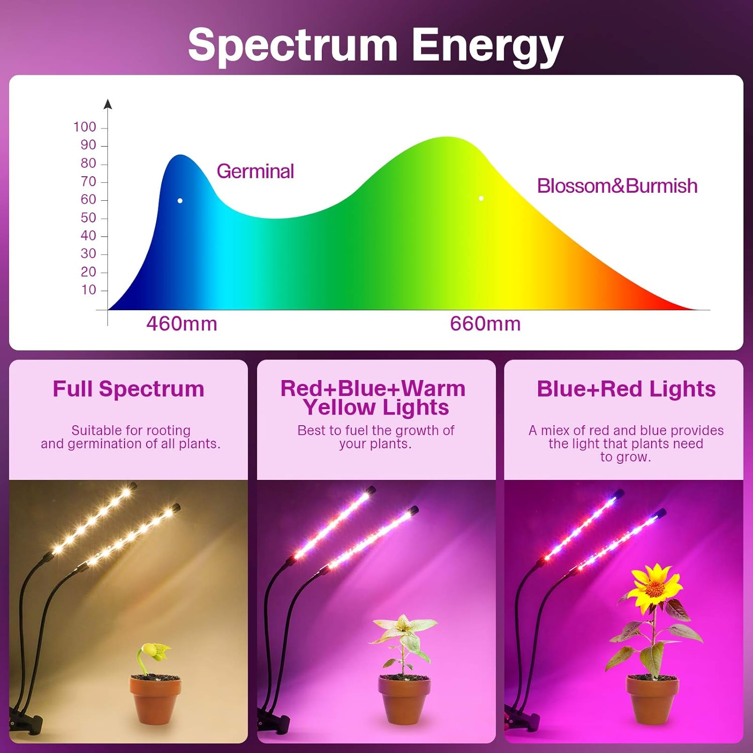 Spektrum-Energiediagramm mit 3 Pflanzenlampen und Pflanzen.