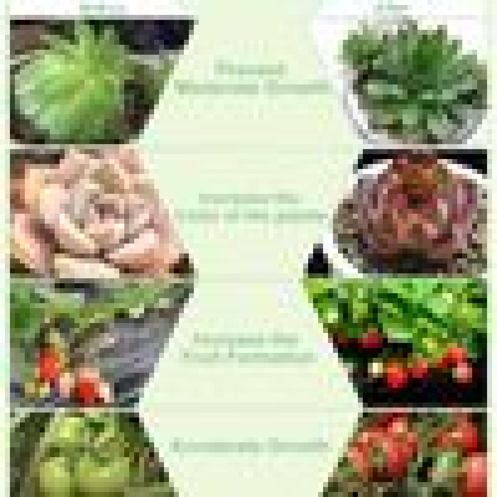 Collage mit verschiedenen Gemüsesorten: Salat, Tomaten und Wurzeln.