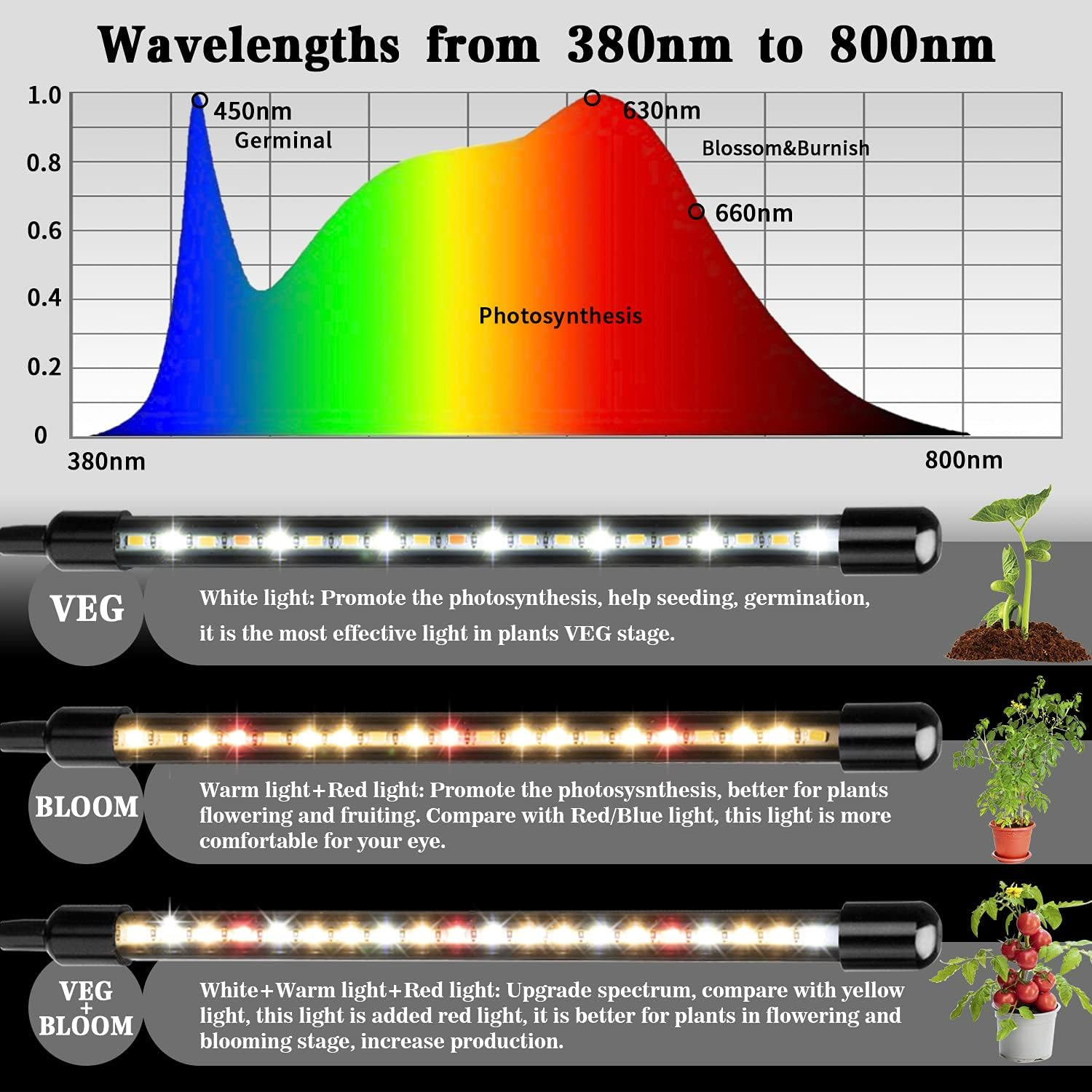 Spektrum von 380-800nm: VEG, BLOOM, VEG+BLOOM Lichter für Pflanzenwachstum.