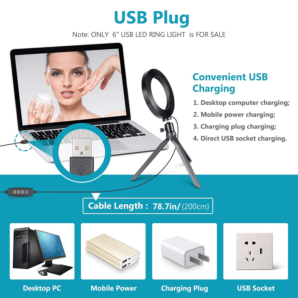Laptop mit Ringlicht und USB-Kabel. Unterhaltung: PC, Powerbank, Ladegerät.
