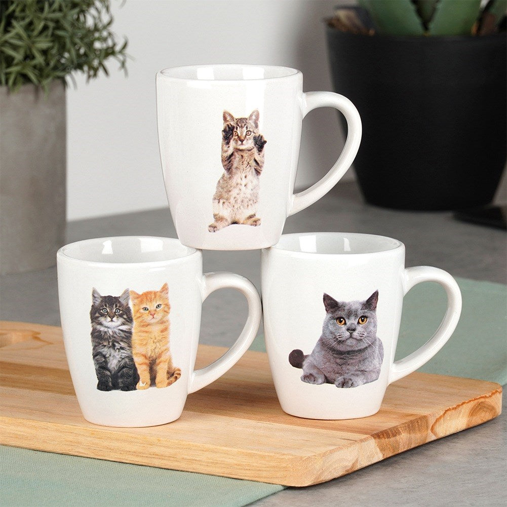 Tres tazas blancas con diseños de gatos sobre una bandeja de madera.