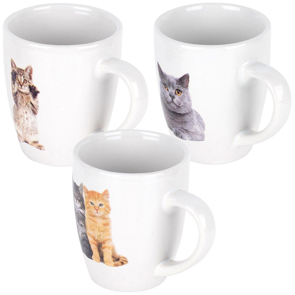 Tres tazas blancas, cada una con una imagen de gato diferente: una con un atigrado, una con un gato gris y dos gatitos.