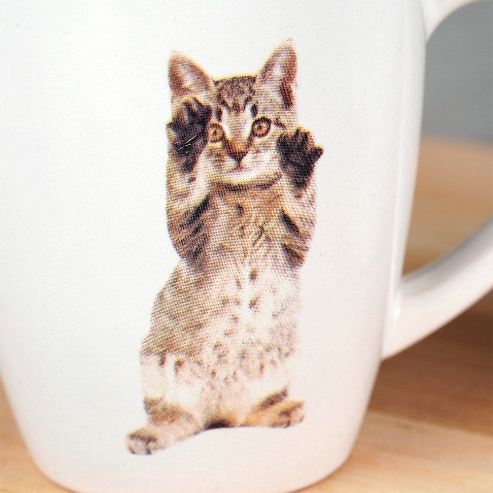Estampado de gatito atigrado en taza blanca con patas levantadas.