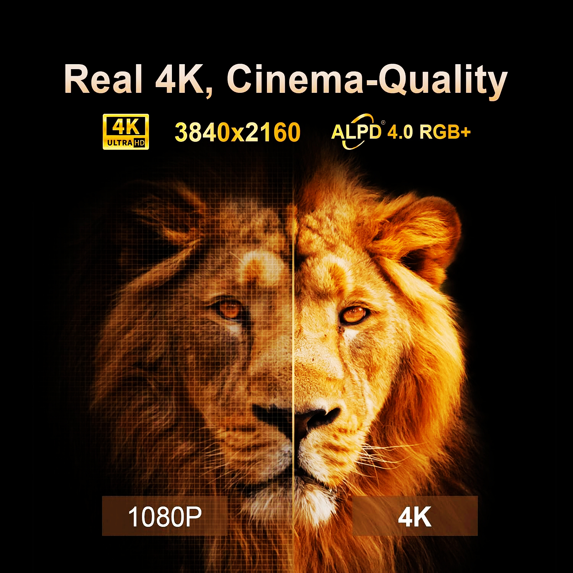 Geteilter Löwenkopf: links 1080p, rechts 4K. "Real 4K, Cinema-Quality".
