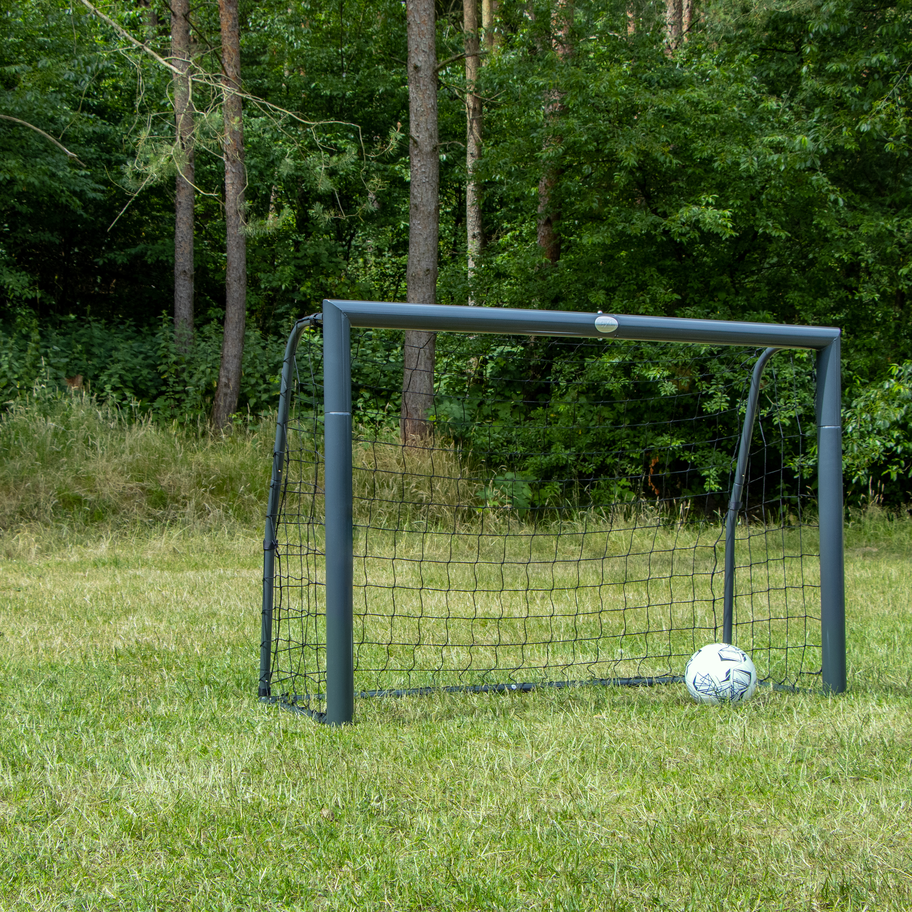 Fußballtor mit Ball auf einem grasbewachsenen Feld, Wald im Hintergrund.