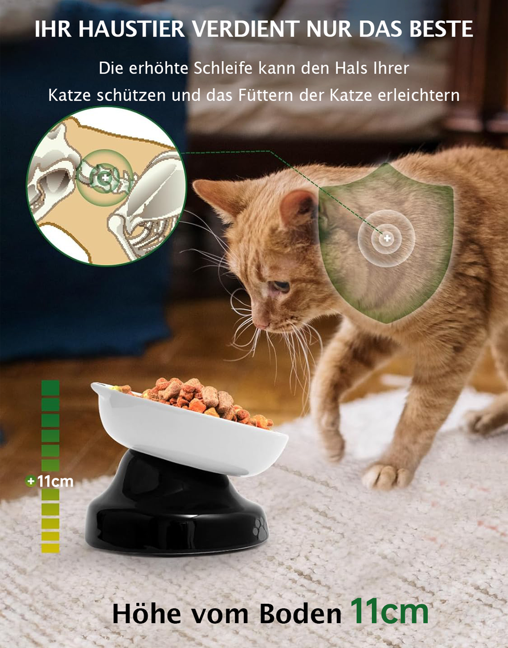 Eine Katze frisst aus einem erhöhten Napf, der den Hals schützt.