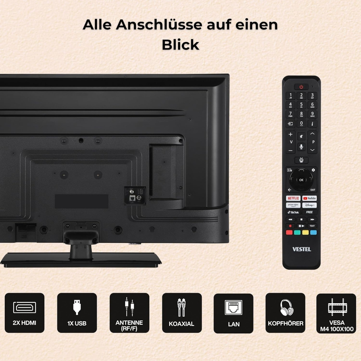 Rückseite eines Fernsehers mit Fernbedienung und Anschluss-Symbolen. Alle Anschlüsse auf einen Blick.