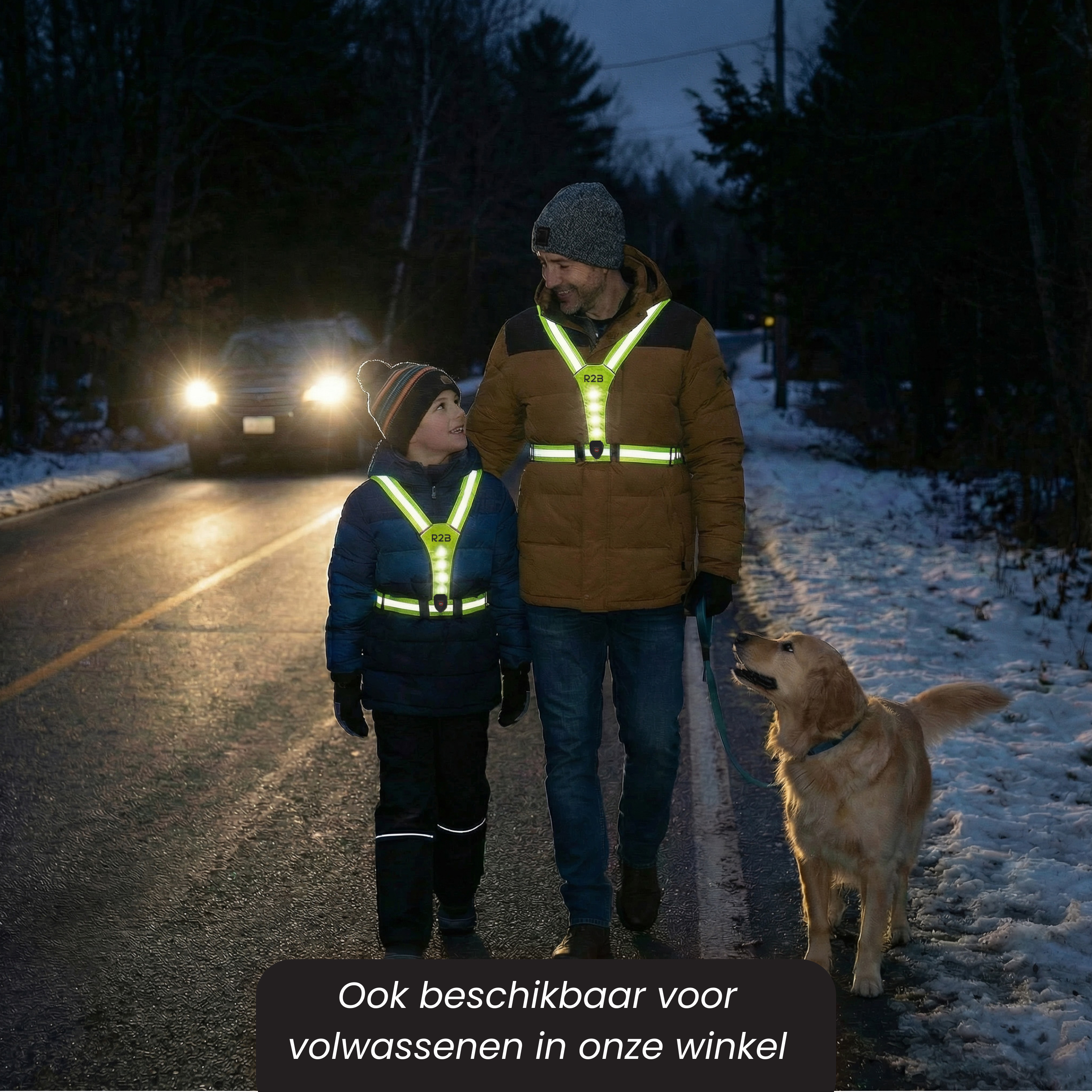Man, child, and dog walk on a road at night with snow and cars.