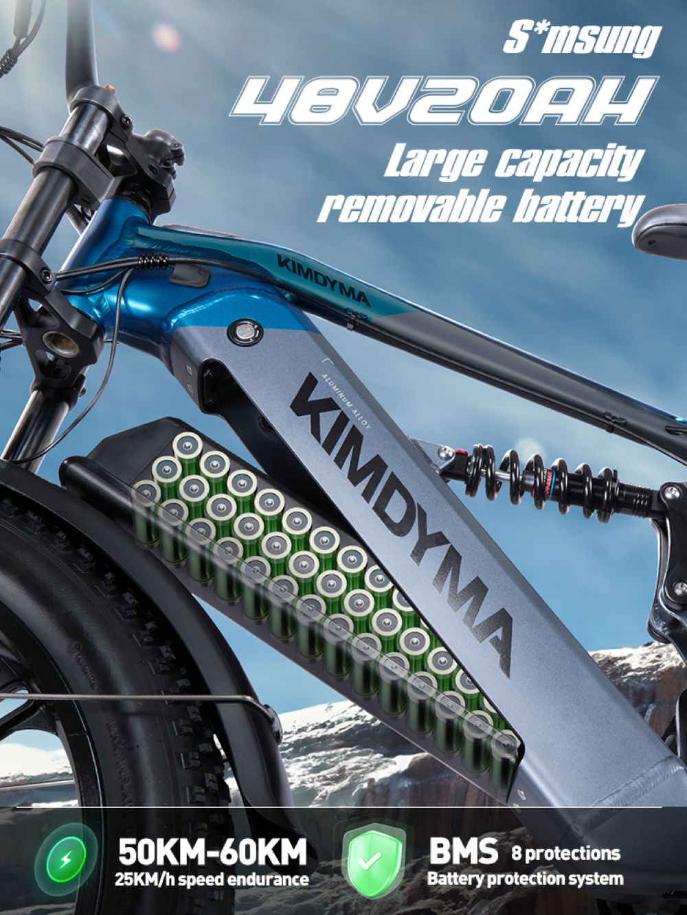 E-bike con batteria rimovibile 48V 20AH, telaio in alluminio.