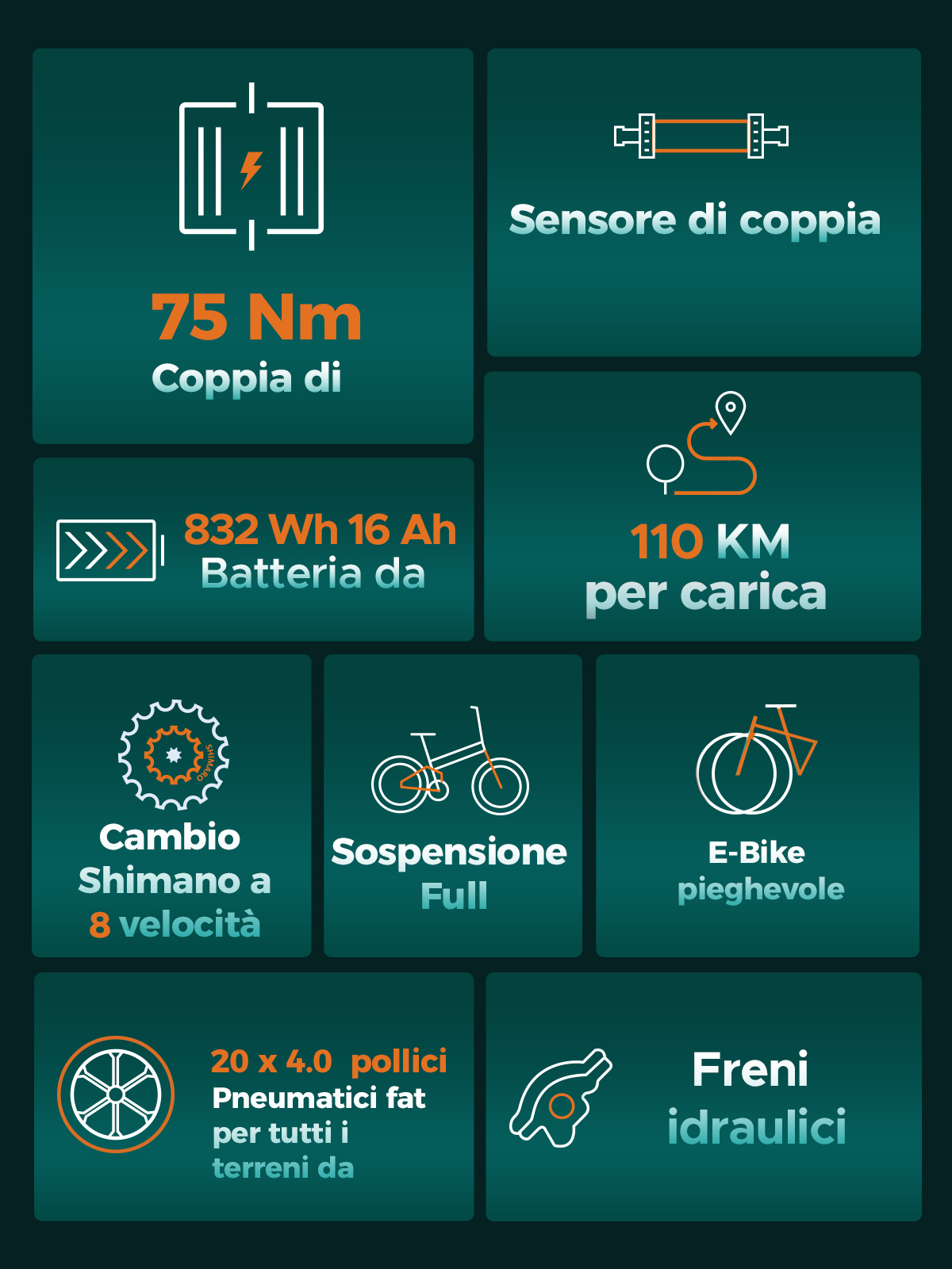 Specifiche E-Bike: 75 Nm coppia, 110 km autonomia, batteria 832 Wh.