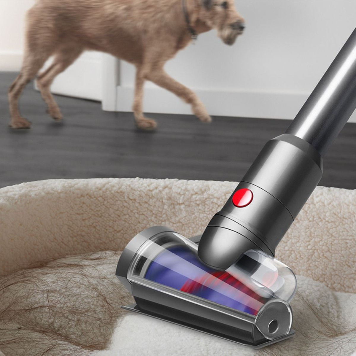 Un aspirateur nettoie le panier d'un chien pendant qu'un chien passe à l'arrière-plan.