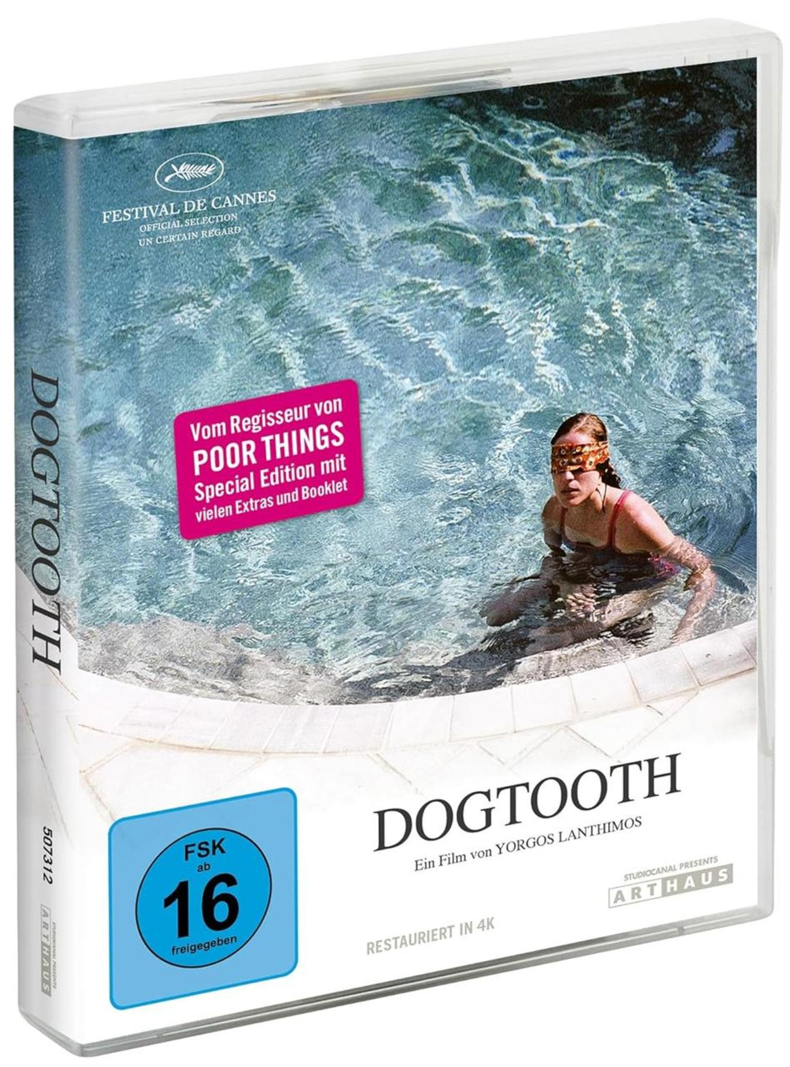 Custodia DVD Dogtooth con donna in piscina, FSK 16.