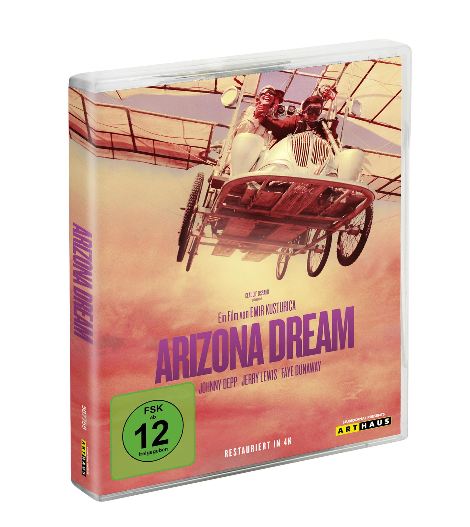 Custodia DVD di Arizona Dream con due persone su un aereo.