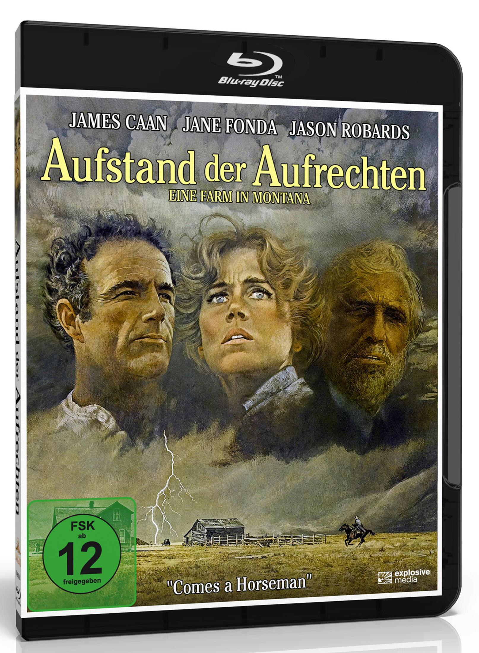 Copertina Blu-ray: James Caan, Jane Fonda, Jason Robards contro un cielo tempestoso.