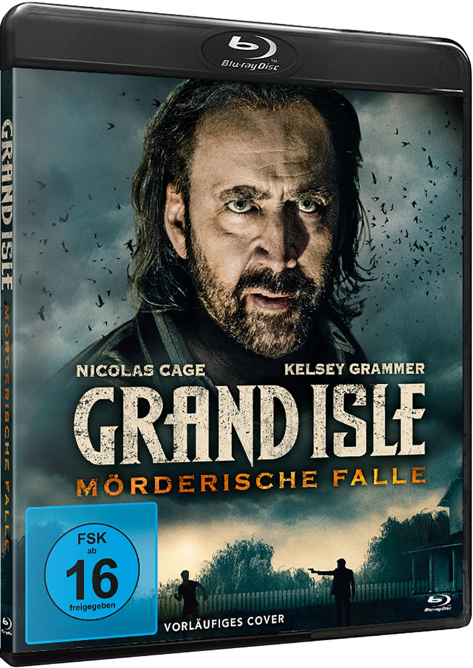 Nicolas Cage guarda avanti sotto un cielo scuro con uccelli. Copertina del film.