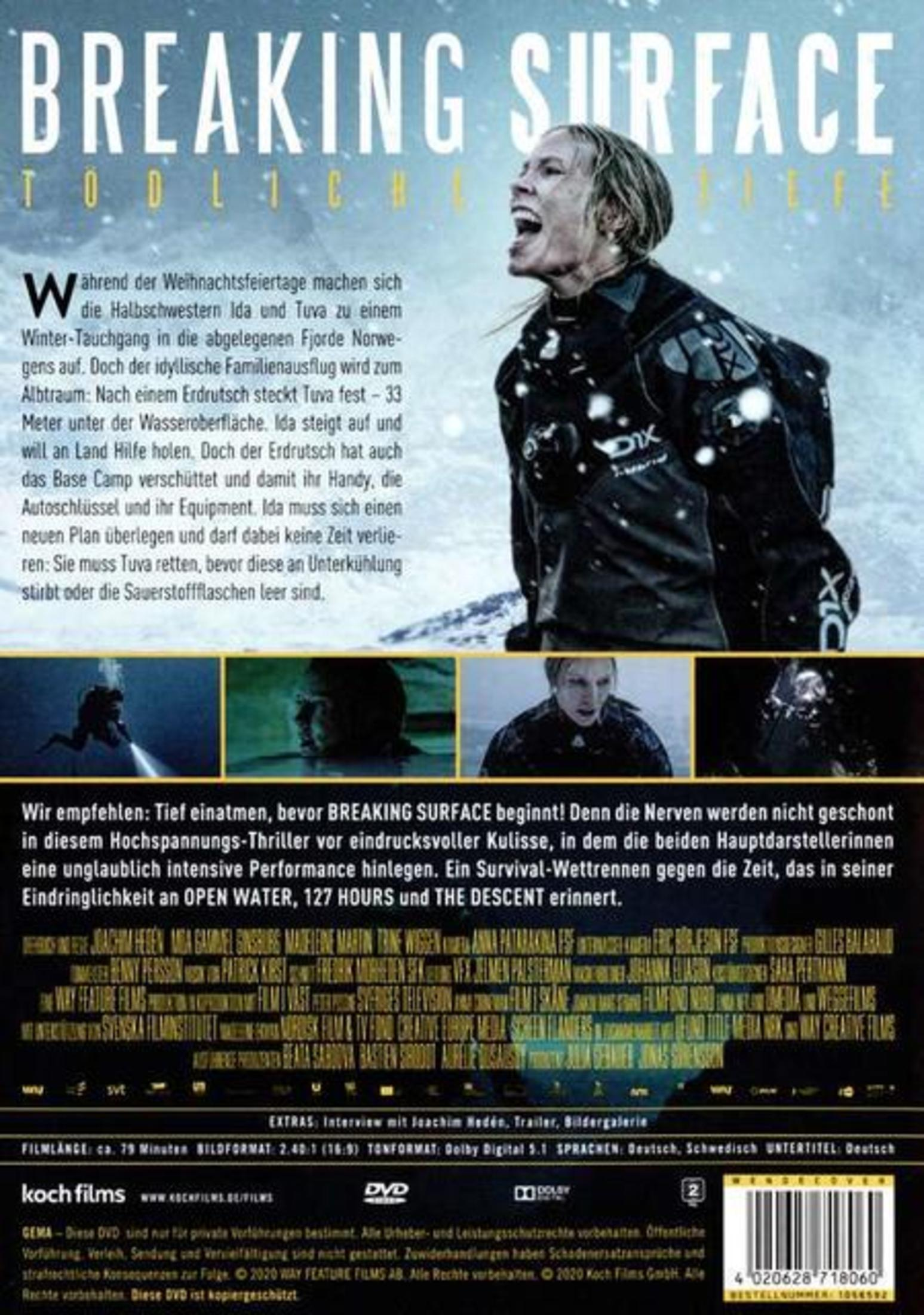 Poster del film: donna urla, neve cade. Scene del film sotto.
