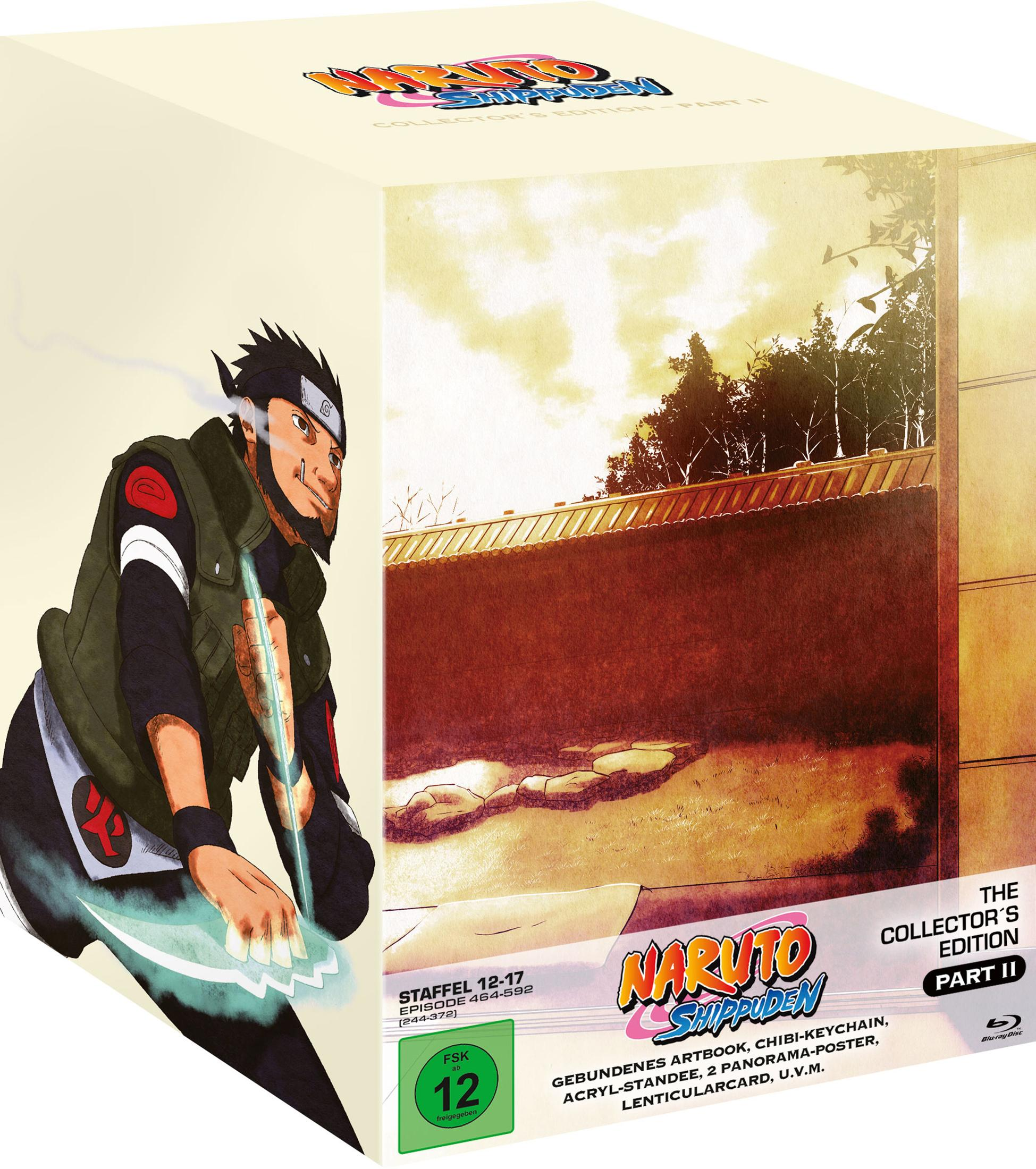 Boîte Collector's Edition Partie II Naruto Shippuden avec personnage et sceau FSK 12.