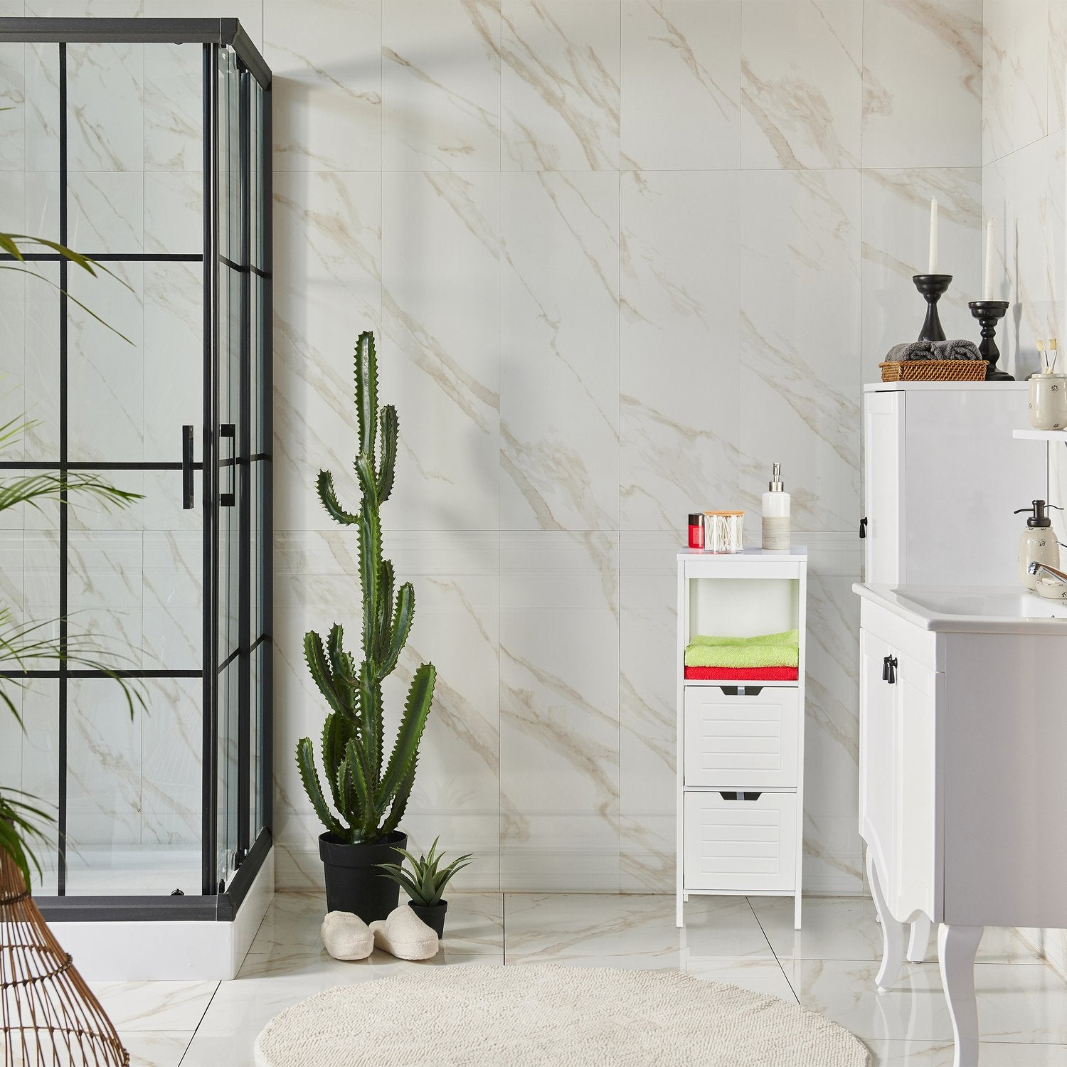 Un baño con cabina de ducha, planta de cactus, estante y lavabo.
