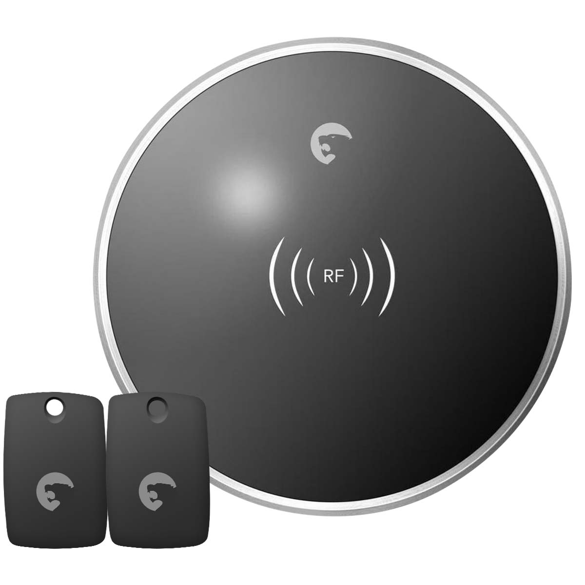Un trasmettitore RF rotondo nero con due piccole chiavi nere.