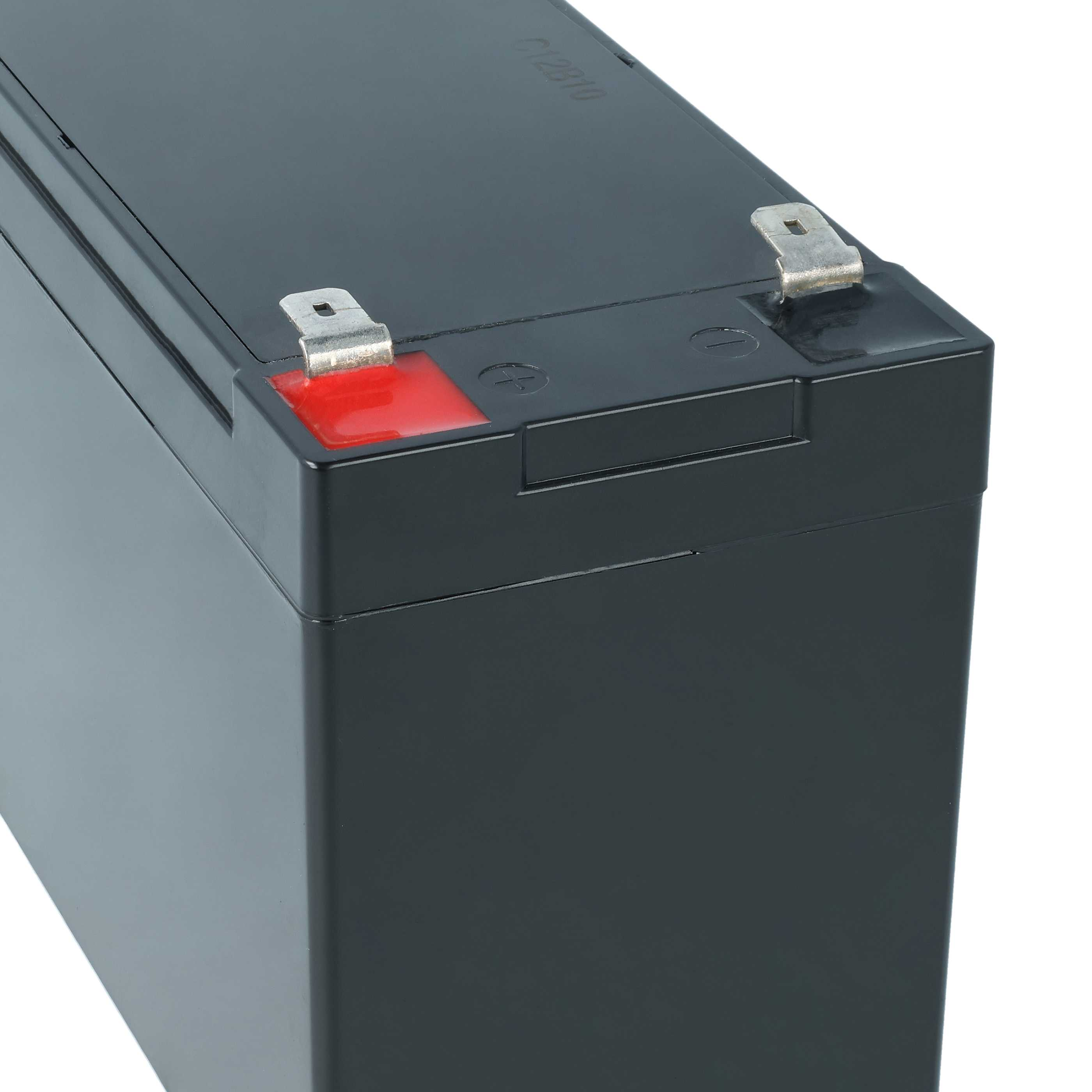 Schwarzer Akku mit roten und silbernen Anschlüssen. Modellnummer C12B10 eingraviert.