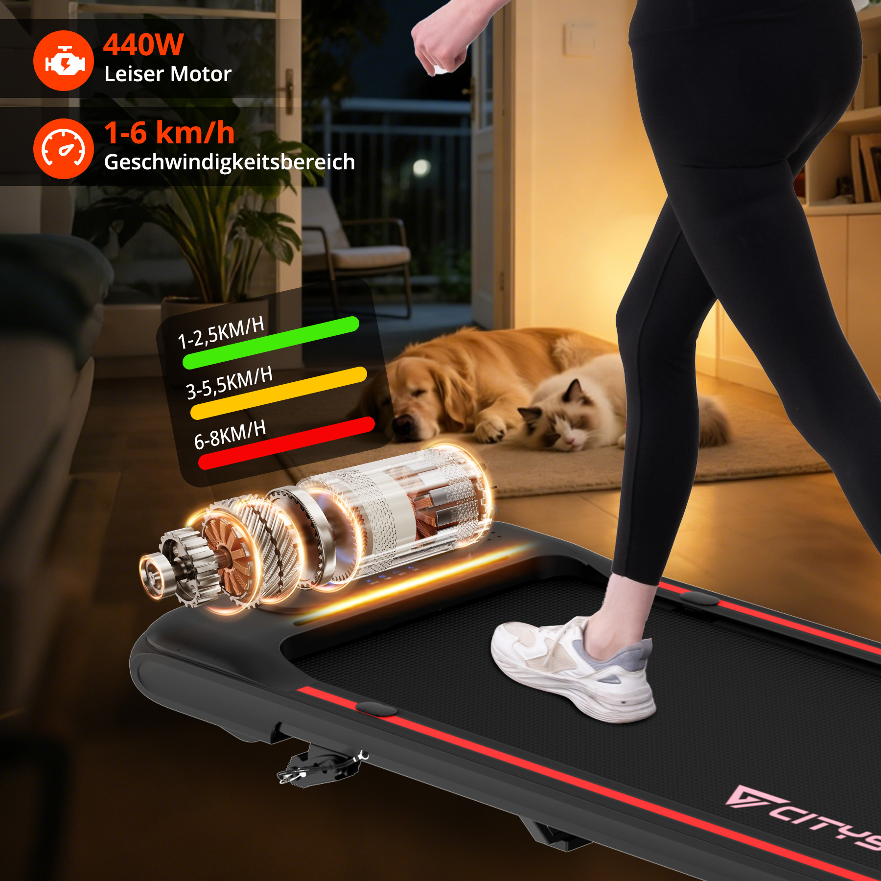 Eine Person auf einem Laufband, Hunde liegen im Hintergrund.