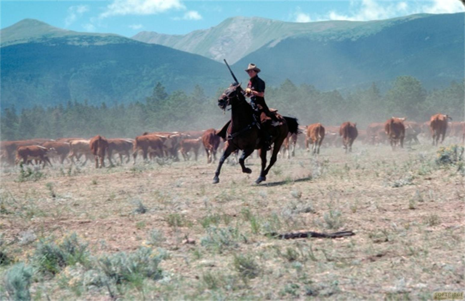 Un cowboy a cavallo raduna il bestiame in un paesaggio polveroso.
