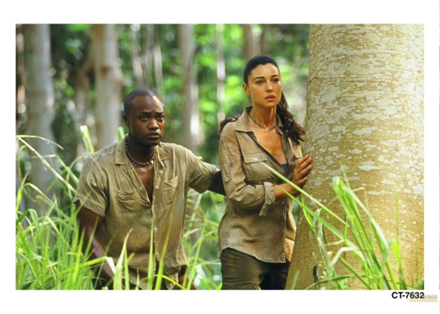 Un homme et une femme se tiennent dans une forêt. Ils portent des vêtements kaki.