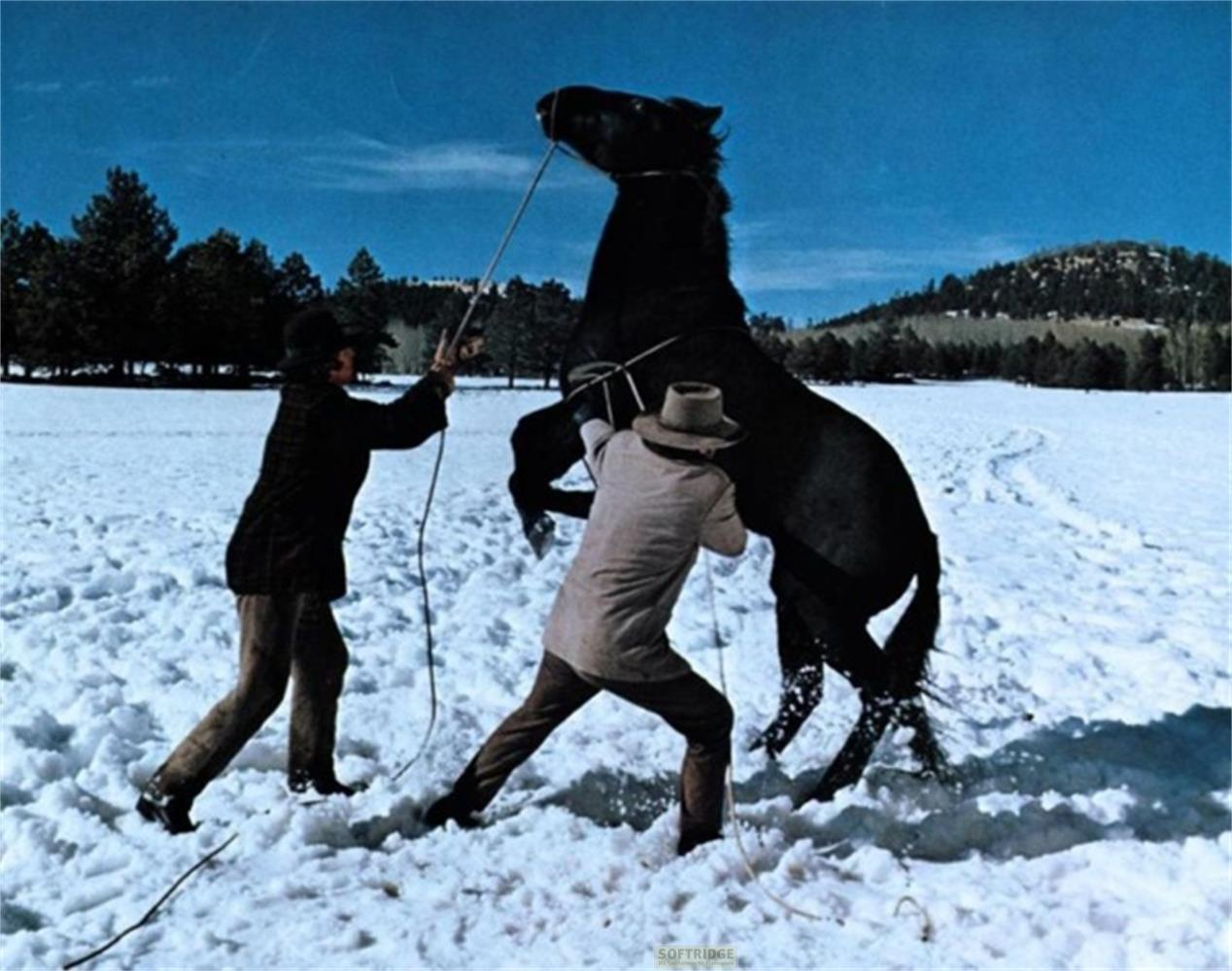 Due uomini cercano di controllare un cavallo impennato nella neve.