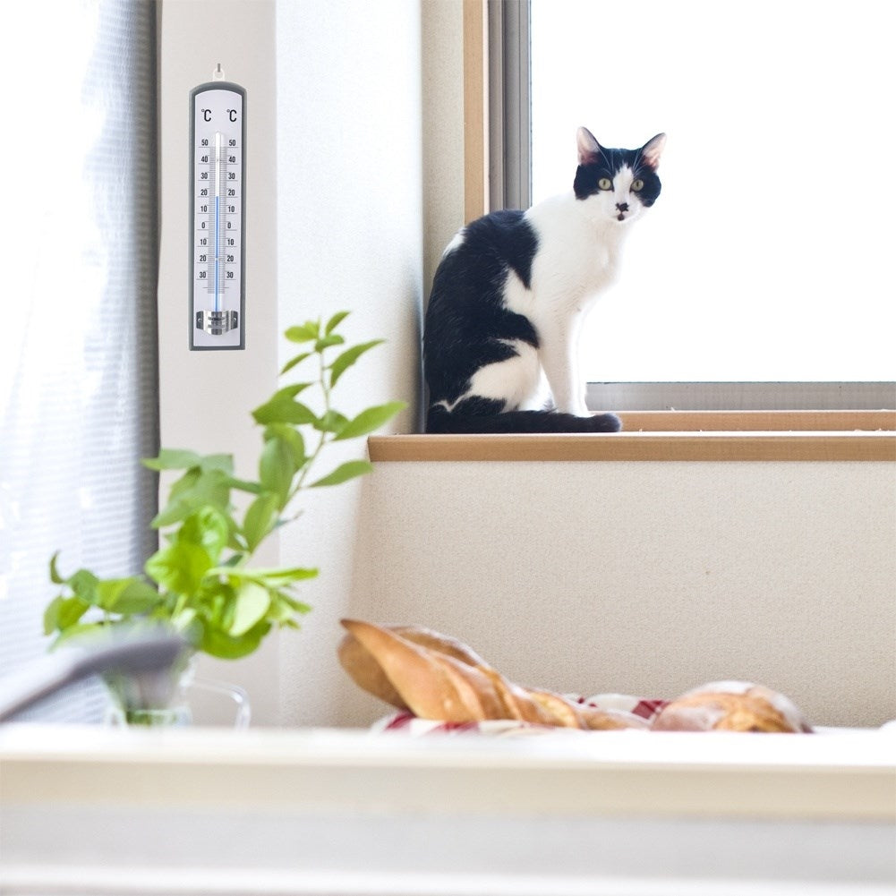 Un gato blanco y negro se sienta en el alféizar de una ventana junto a una planta y un termómetro.