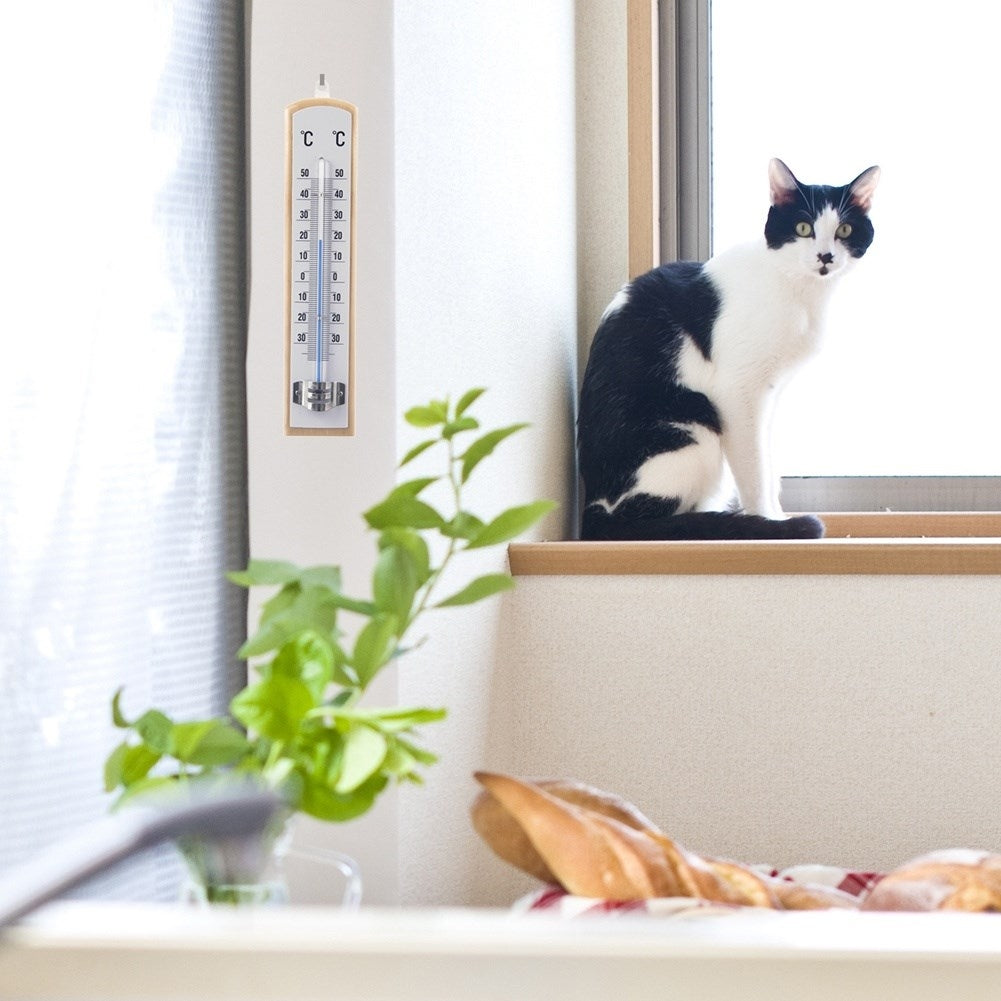 Un gato blanco y negro se sienta en el alféizar de una ventana junto a un termómetro y una planta.