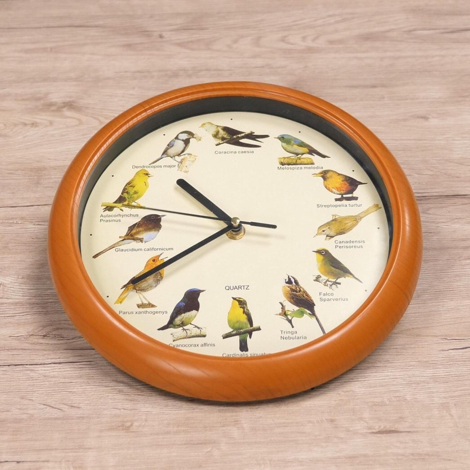 Reloj de madera con imágenes de pájaros en la esfera. Muestra varias especies de aves.