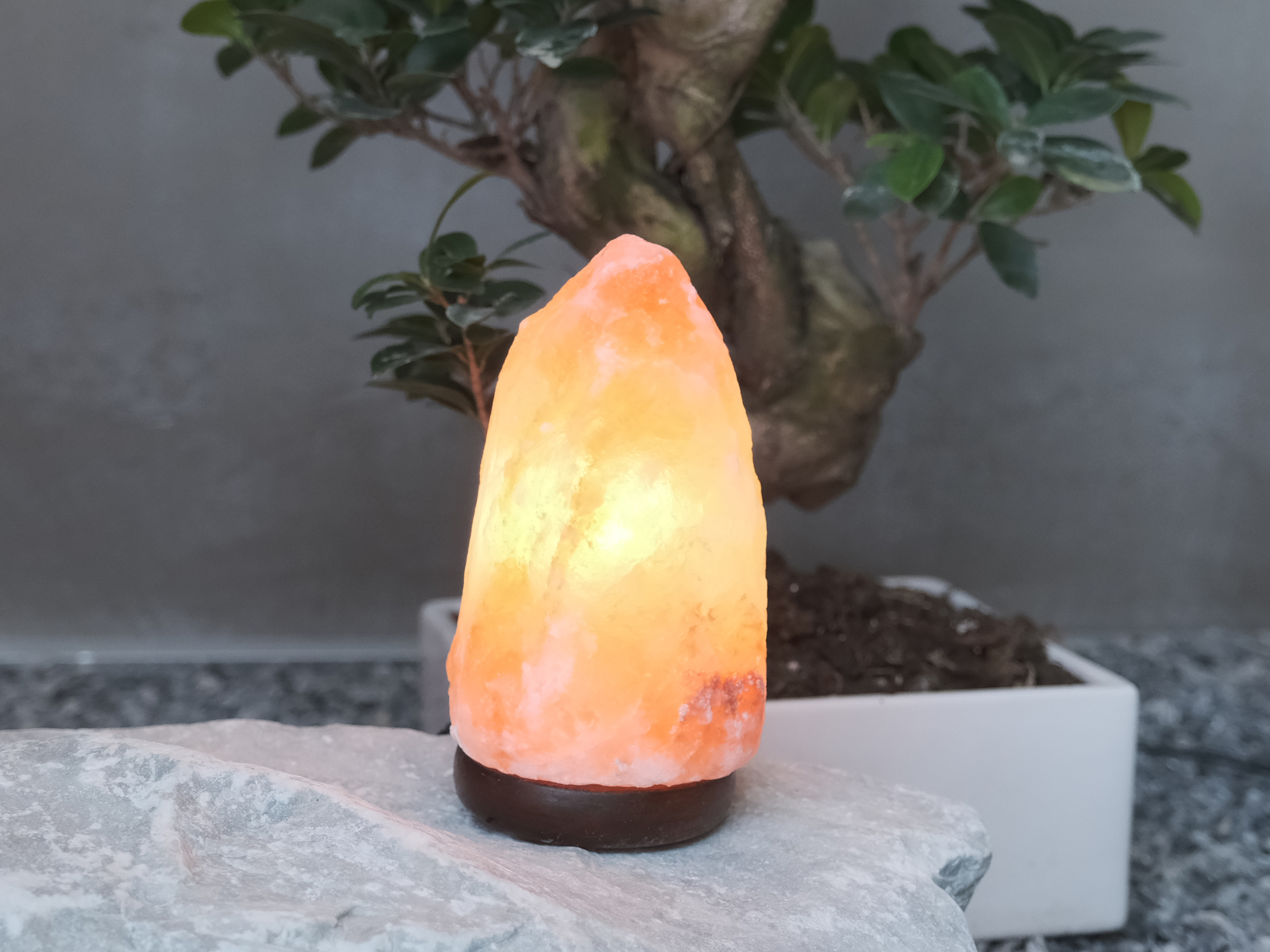 Una lampada di sale illuminata siede su una roccia davanti a un albero bonsai.
