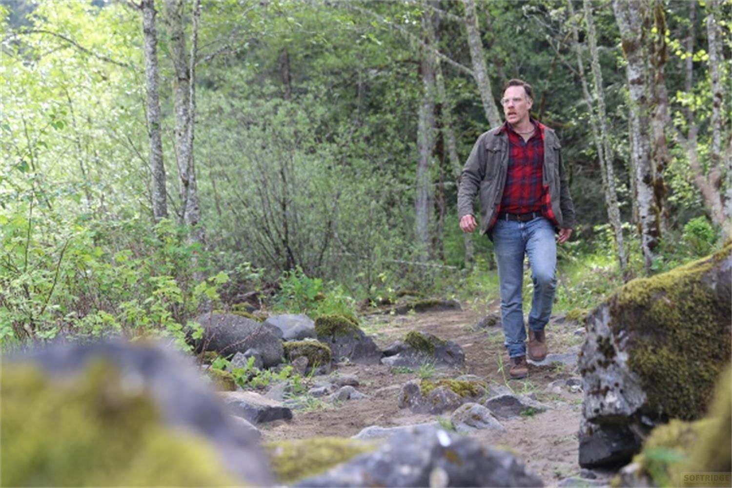 Un uomo cammina su un sentiero nel bosco. Indossa una camicia a quadri e jeans.
